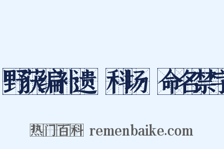 野获编补遗·科场·命名禁字是什么意思的图片